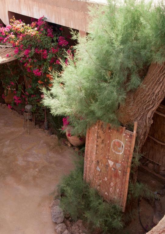Auberge L'Oasis Foum Zguid Buitenkant foto